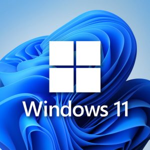 Windows 11 Pro